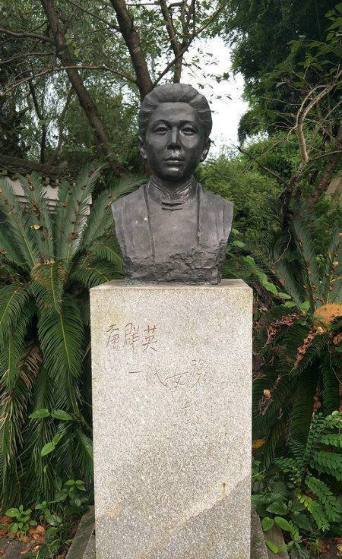 红色故事第88期红色英雄唐群英